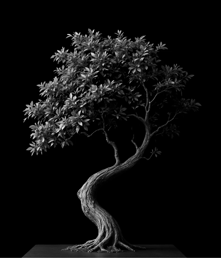 sustainability2